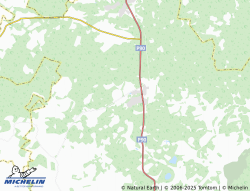 MICHELIN Shelgunovo map - ViaMichelin