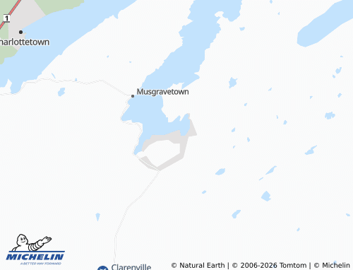 Mappa MICHELIN Lethbridge - ViaMichelin
