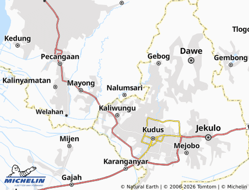MICHELIN Nalumsari map - ViaMichelin