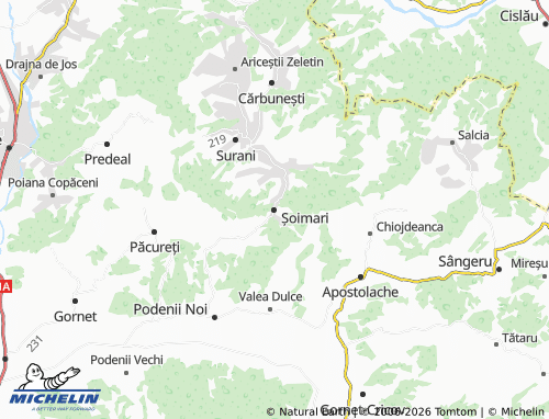 MICHELIN Șoimari map - ViaMichelin