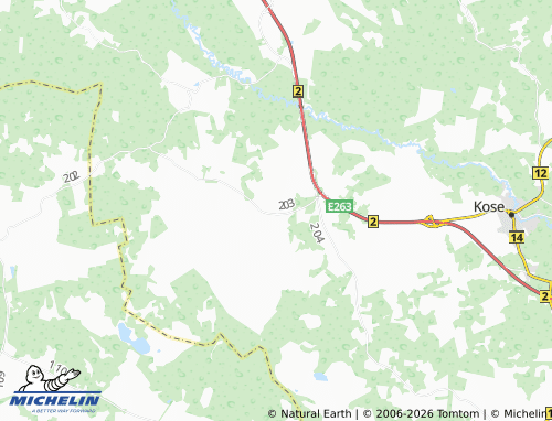 MICHELIN-Landkarte Saula - ViaMichelin