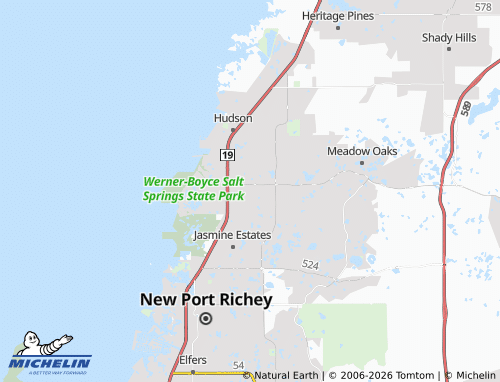 Mapa MICHELIN Bayonet Point - ViaMichelin