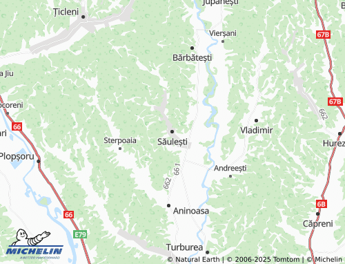 MICHELIN Săulești map - ViaMichelin