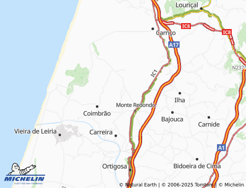 MICHELIN Cavadas map - ViaMichelin