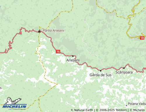 MICHELIN Arieșeni map - ViaMichelin