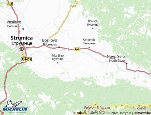 MICHELIN Borievo map - ViaMichelin