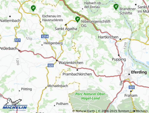MICHELIN Ritzing map - ViaMichelin