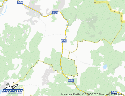 Mappa MICHELIN Brodnytsia - ViaMichelin