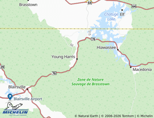 Mappa MICHELIN Young Harris - ViaMichelin