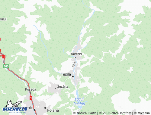 MICHELIN Trăisteni map - ViaMichelin