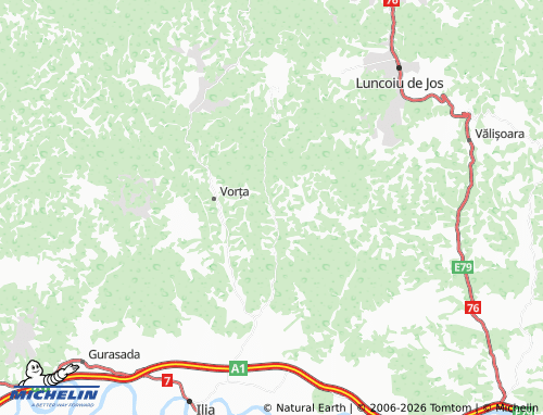 Mappa MICHELIN Dumești - ViaMichelin