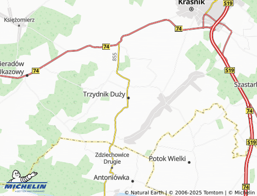 Mappa MICHELIN Trzydnik Duży - ViaMichelin