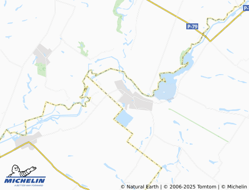 MICHELIN Khyzhniakivka map - ViaMichelin