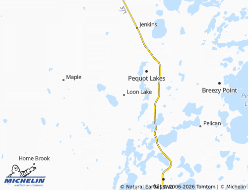 Carte MICHELIN Loon Lake - ViaMichelin