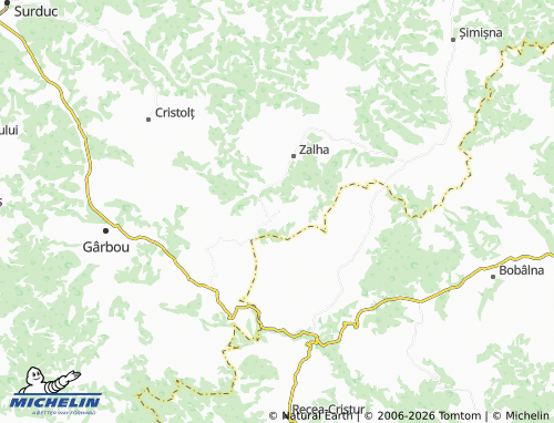 Mappa MICHELIN Valea Lungă - ViaMichelin