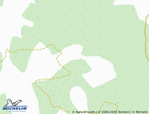 MICHELIN Novaya Kazanka map - ViaMichelin