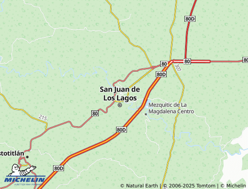 MICHELIN San Juan de Los Lagos Centro map - ViaMichelin