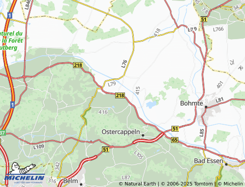 Mapa MICHELIN Wahlburg - ViaMichelin