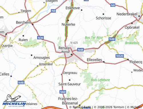 MICHELIN Ronse map - ViaMichelin