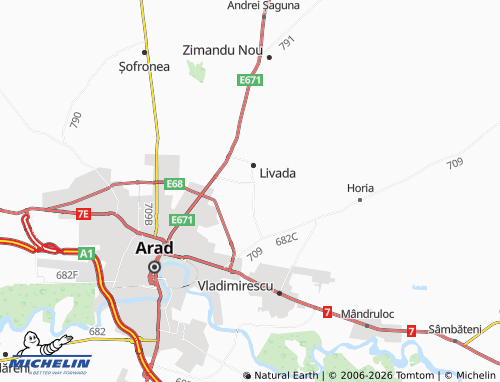 MICHELIN Sânleani map - ViaMichelin