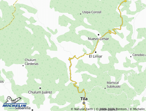 Mapa MICHELIN Miguel Alemán - ViaMichelin