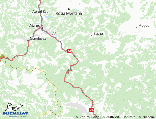 Mappa MICHELIN Valea Poienii - ViaMichelin