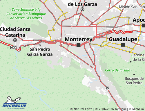 Mapa MICHELIN Real del Valle - ViaMichelin