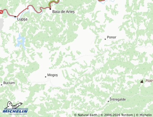 MICHELIN Bârzogani map - ViaMichelin