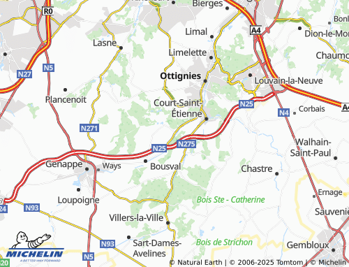 Carte MICHELIN Noirhat - ViaMichelin