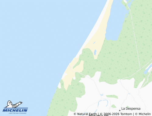 MICHELIN Las Lajitas map - ViaMichelin