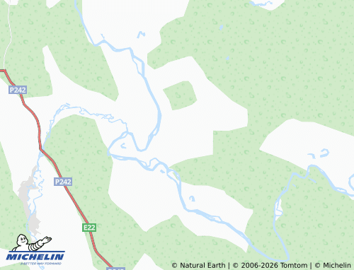 MICHELIN-Landkarte Bor - ViaMichelin