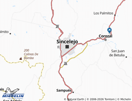 Carte MICHELIN Nuevo Méjico - ViaMichelin