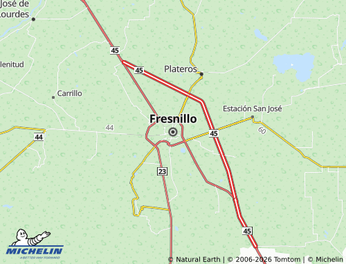 Mappa MICHELIN Fresnillo - ViaMichelin