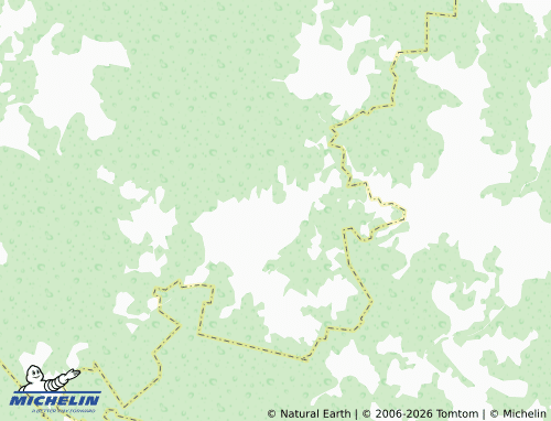 Carte MICHELIN Volkhovo - ViaMichelin