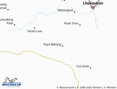 Mapa MICHELIN Blang Mane - ViaMichelin