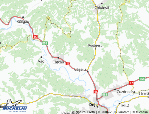 Mappa MICHELIN Sălișca - ViaMichelin
