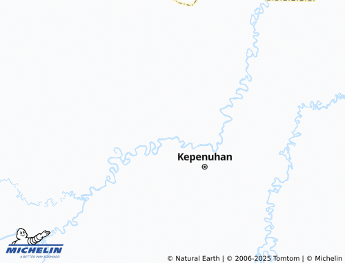 MICHELIN Kepenuhan Timur map - ViaMichelin