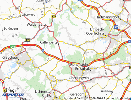 MICHELIN Reichenbach map - ViaMichelin