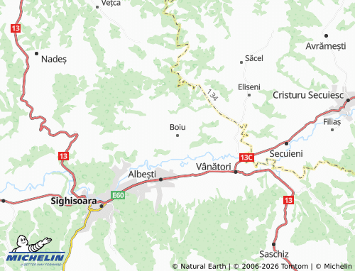 Kaart MICHELIN Boiu - ViaMichelin