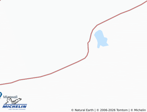 Mappa MICHELIN Musa Khel - ViaMichelin