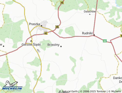 MICHELIN Brzeziny map - ViaMichelin