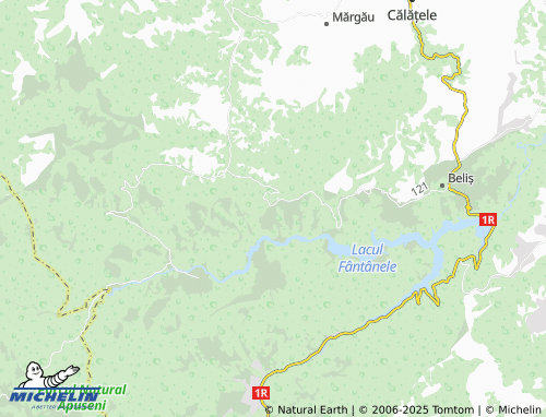 MICHELIN Dealu Botii map - ViaMichelin