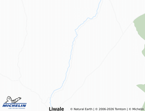 MICHELIN Liwale Chini map - ViaMichelin