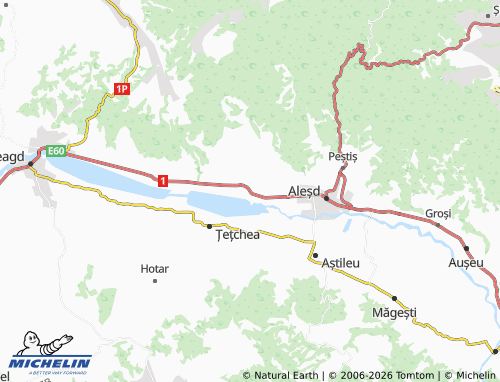 MICHELIN Lugașu de Jos map - ViaMichelin