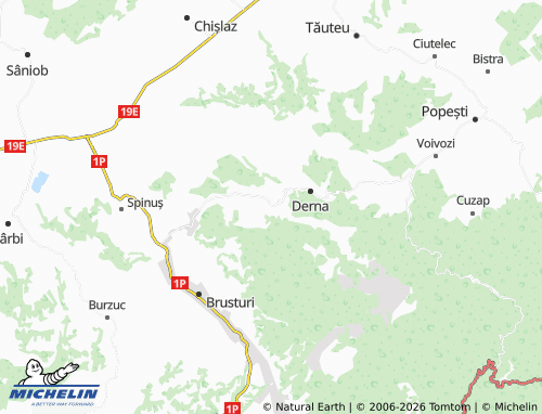 MICHELIN Sacalasău map - ViaMichelin