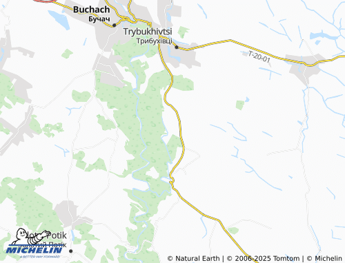 MICHELIN-Landkarte Salischtschyky - ViaMichelin
