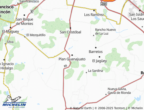 MICHELIN Plan Guanajuato map - ViaMichelin