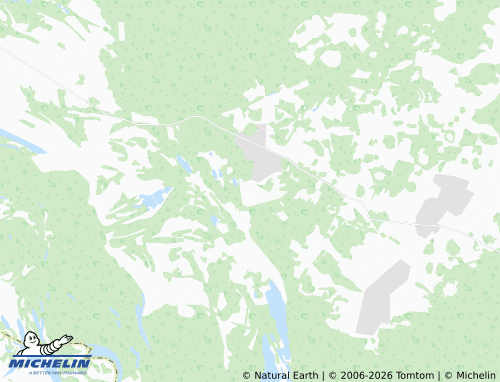 MICHELIN-Landkarte Chistoye Borskoye - ViaMichelin
