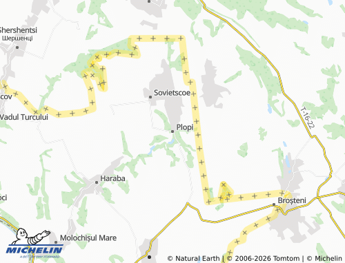 Carte MICHELIN Plopi - ViaMichelin