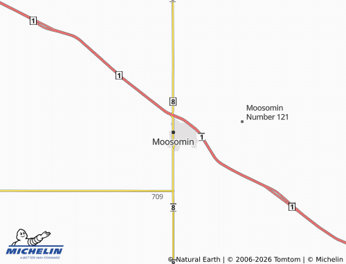 Mappa MICHELIN Moosomin - ViaMichelin